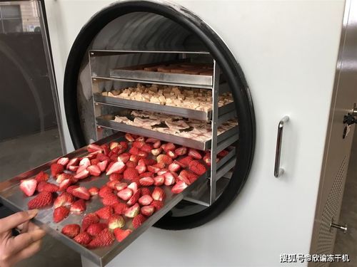 冷凍干燥技術(shù)在乳化油食品中的應(yīng)用與前景