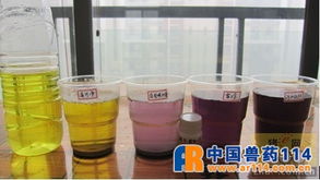 烈酒甜味背后 如何科學判斷脫霉劑處理霉菌毒素的能力？